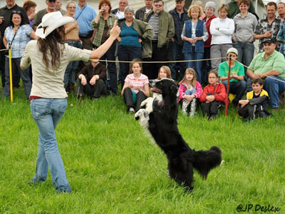 Spectacle Freestyle Canin Bromont